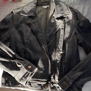 Ann Taylor Stretch Denim Moto Jacket